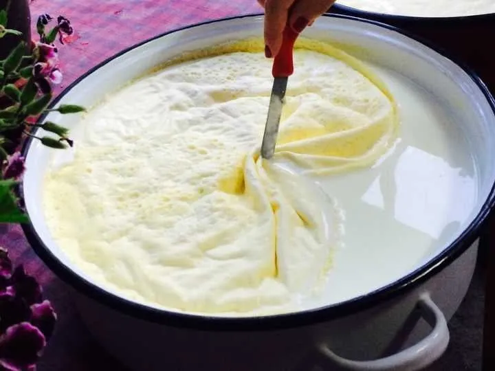 Capa de nata sobre la leche hervida, separada con un cuchillo