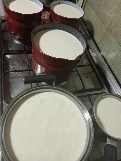 Cazos con leche recién ordeñada calentándose en la cocina